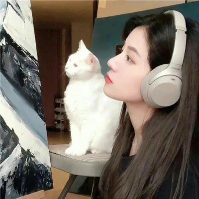 临江回声番外海报